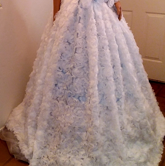 SAMPLE GOWN ONLY - "BROOKLYN" White/Blue Woodland Princess Wedding Ballgown Set - Picture 2 of 13